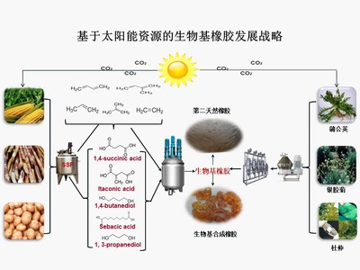 “十三五”國家重點研發計劃項目“新型生物基橡膠材料制備技術與應用示范”順利通過項目綜合績效評價