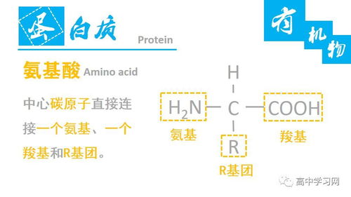 高中生物中的無機(jī)物和有機(jī)物基礎(chǔ)知識梳理