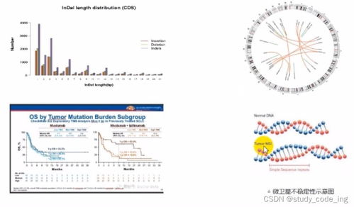 生物基礎(chǔ) 多組學(xué)聯(lián)合分析