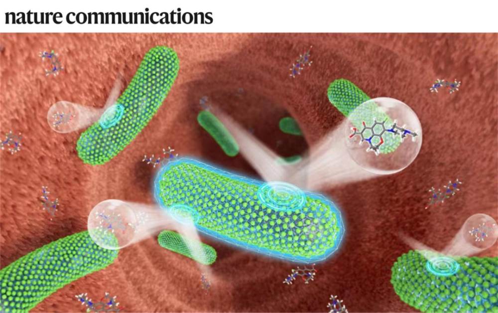 專訪郭俊凌丨川大/哈佛團(tuán)隊(duì)合作開發(fā)植物多酚納米材料,可保護(hù)益生菌免受抗生素殺傷,相關(guān)LBP活體生物藥計(jì)劃推進(jìn)臨床I期