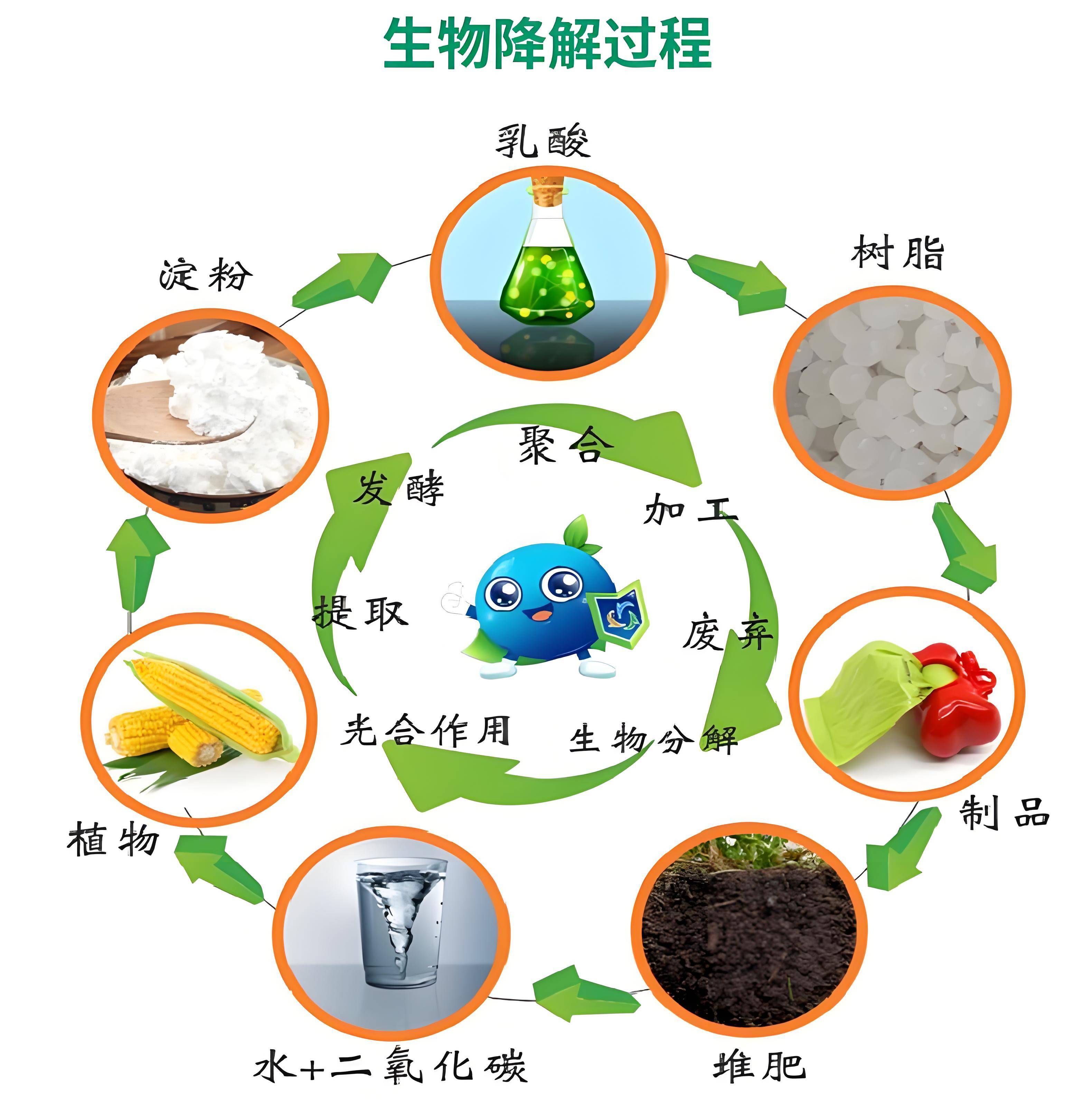 生物基材料≠生物降解材料:深入剖析兩大環保材料的本質差異與關聯