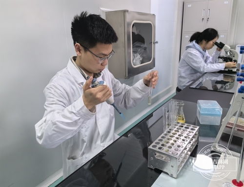 加快發(fā)展新質(zhì)生產(chǎn)力 吉林一線觀察 之新動能 新產(chǎn)業(yè) 吉原生物公司 創(chuàng)新升級 水凝膠材料的領(lǐng)跑者