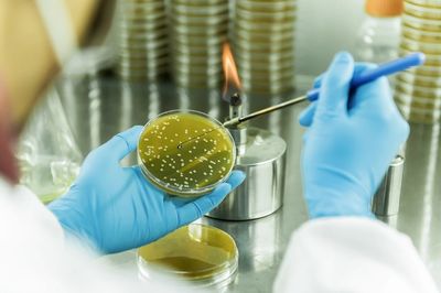 戰(zhàn)新產(chǎn)業(yè)“百大工程”|招商局集團領(lǐng)航生物基聚酰胺創(chuàng)新突破 打造生物經(jīng)濟新引擎