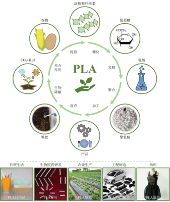 丁建勛 李鴻杰 楊佳臻(中國科學院長春應用化學研究所):新時代生物質降解材料聚乳酸,助力綠色環保的“未來之鑰”_作品展示