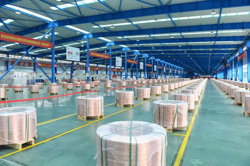 市州沖沖沖⑩ 郴州 郴 勢而上 蝶變進(jìn)位