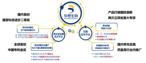 拒糖主義興起 氣泡水與玻尿酸聯手，生物基材料技術研發迎勢而上