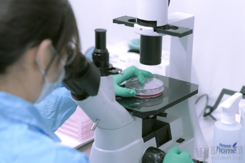 打造產業鏈 惠邦生物以獨創能力加碼IVD創新產品研發，持續發力原料市場與生物基材料技術研發