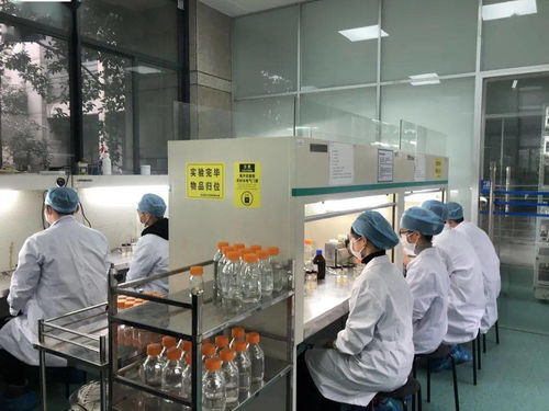 生物選考沖刺提分秘籍 高中生物實(shí)驗(yàn)訓(xùn)練營寒假開啟，助力未來生物基材料技術(shù)研發(fā)